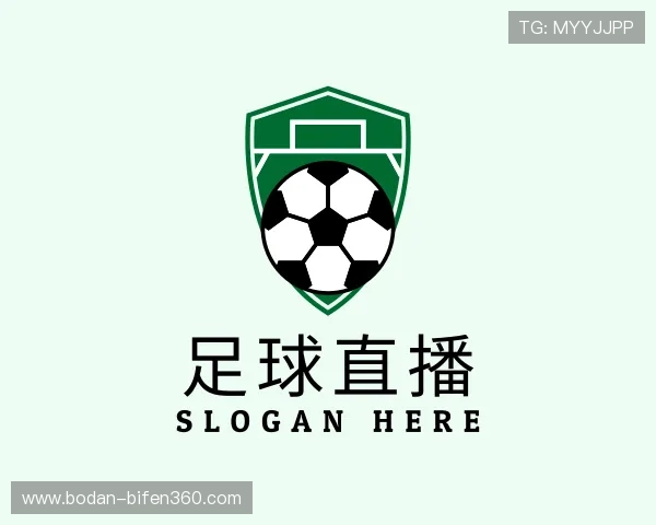 解读足球波胆官网